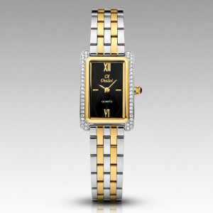 Caslex BK971 Silver Black Women’s Watch